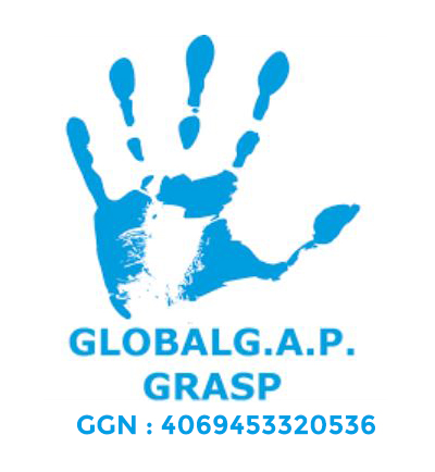grasp